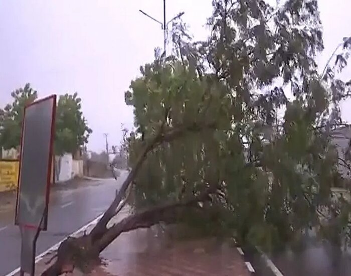 तूफ़ान से हर तरफ तबाही का मंजर, . उखड़े पेड़.. भारी बारिश .