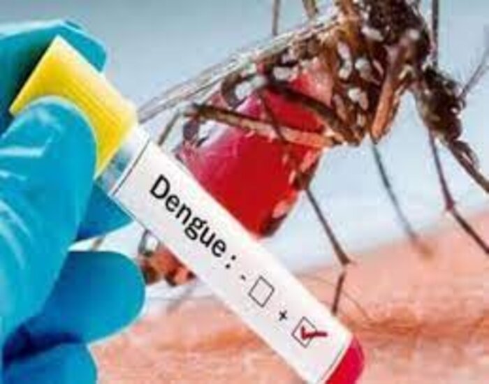 बिहार में तेजी से बढ़ा है डेंगू का प्रकोप, दो हजार लोग पीड़ित.