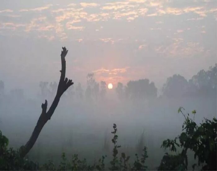 बिहार में पश्चिमी विक्षोभ कमजोर, बढ़ने लगी है गर्मी.