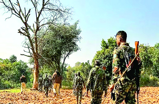 झारखण्ड में अभी भी छिपे हैं 80 नक्सली, एंटी-नक्सल ऑपरेशन की चल रही तैयारी.
