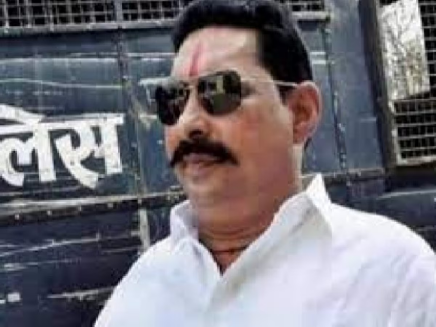 अनंत सिंह की जमानत पर आज होगी सुनवाई, अब तक 5 मामले दर्ज