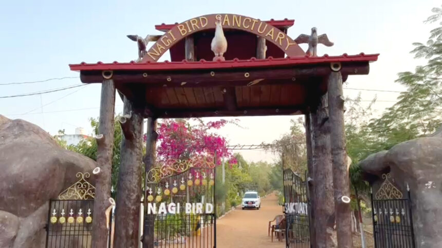 बिहार में पहली बार पक्षियों में लगाए गए ट्रांसमीटर: पल-पल मिलेगी गतिविधियों की जानकारी