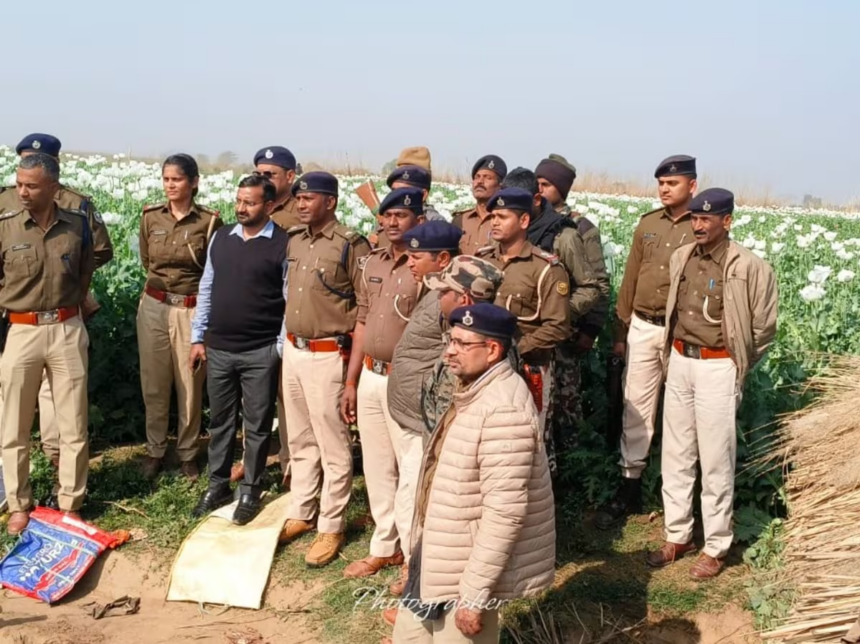 बिहार में 20 करोड़ की अफीम की खेप बरामद, एसपी-डीएसपी सहित 500 पुलिसकर्मियों ने की छापेमारी