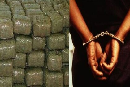 NCB ने सुपौल में जब्त किया 18 क्विंटल गांजा