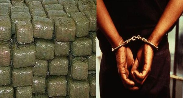 NCB ने सुपौल में जब्त किया 18 क्विंटल गांजा