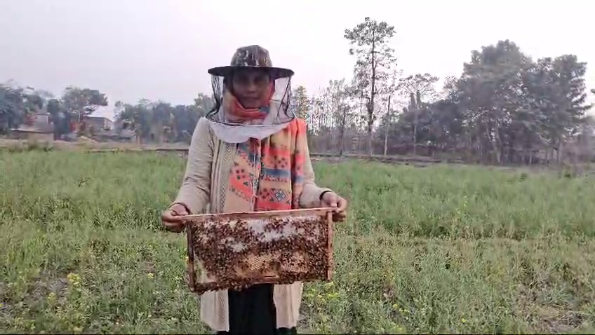 गांव की महिलाएं बनीं व्यापार की नायक, शहद से विदेशों तक बनाई पहचान