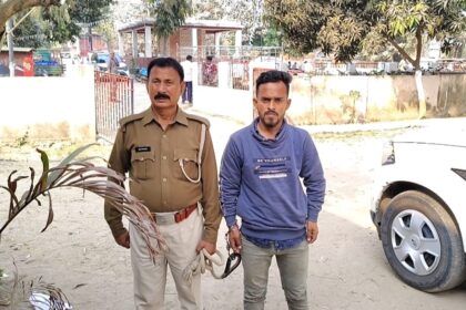 हरिपुर गांव में छापेमारी, पुलिस ने युवक को हथियार के साथ दबोचा