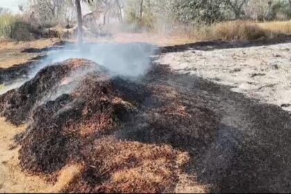 बक्सर में खलिहान में लगी आग, लाखों का हुआ नुकसान