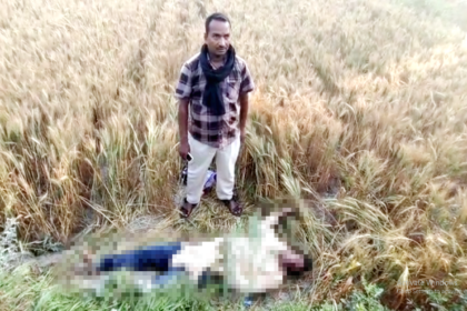 सीतामढ़ी: गेहूं के खेत में युवक की लाश मिलने से मचा हड़कंप, जांच में जुटी पुलिस