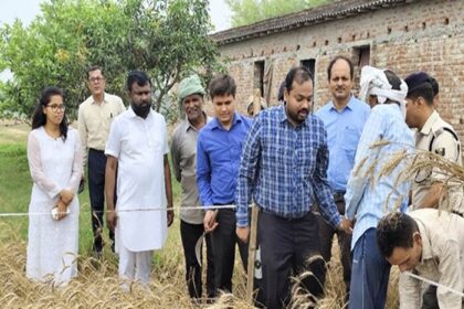 DM को कैसी मिली सजा, गेहूं की कटाई करते आये नजर, विडियो हुआ वायरल.