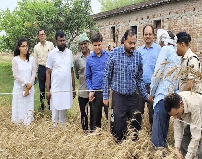 DM को कैसी मिली सजा, गेहूं की कटाई करते आये नजर, विडियो हुआ वायरल.