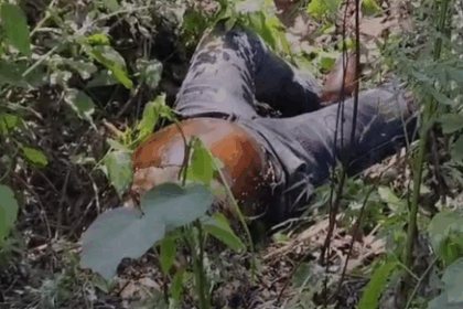 बेतिया के मझौलिया में दिल दहला देने वाली वारदात: 7 साल की मासूम का क्षत-विक्षत शव मिलने से क्षेत्र में सनसनी