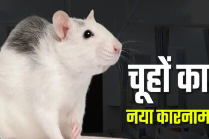 पटना के NMCH अस्पताल में चूहे निगल गए आंख , कुतरीं मरीज की उंगलियां.