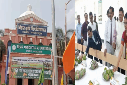 बिहार कृषि विश्वविद्यालय, सबौर में 11वीं आम विविधता प्रदर्शनी: स्वाद, विज्ञान और संरक्षण का अनूठा संगम