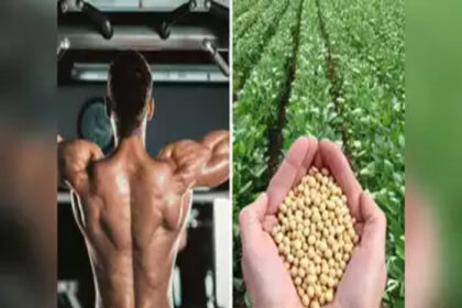 ये ब्रेकफास्ट देगा दिनभर की ताकत और स्लिम बॉडी.