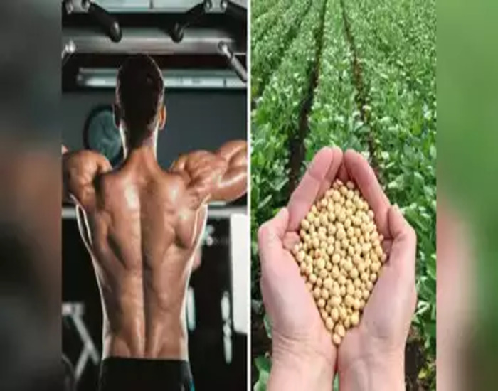 ये ब्रेकफास्ट देगा दिनभर की ताकत और स्लिम बॉडी.