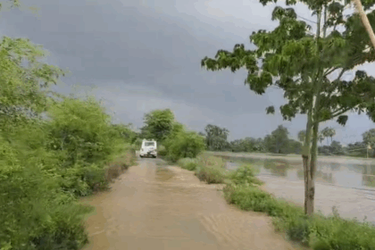 बिहार में बढ़ा बाढ़ का खतरा: गंगा और दरधा नदी का जलस्तर बढ़ने से पटना के कई इलाकों में अलर्ट जारी