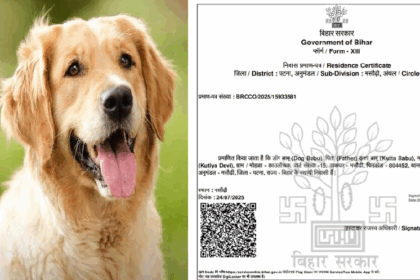 पटना में कुत्ते के नाम से जारी हुआ आवासीय प्रमाण पत्र, DM ने दिए जांच के आदेश, दोषियों पर FIR की तैयारी