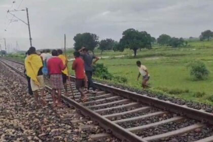 आरा में बड़ा हादसा: ट्रेन से कटकर 400 से अधिक भेड़ों की मौत, भेड़पालकों को भारी नुकसान