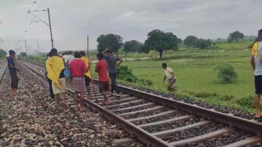 आरा में बड़ा हादसा: ट्रेन से कटकर 400 से अधिक भेड़ों की मौत, भेड़पालकों को भारी नुकसान