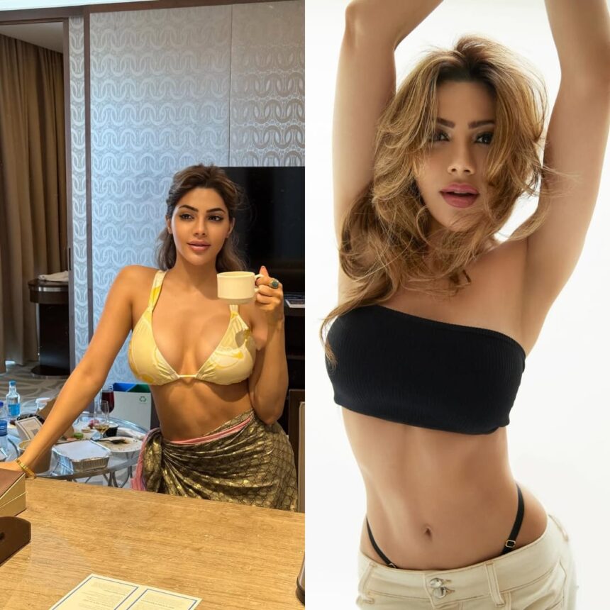 एक्ट्रेस निक्की तंबोली को डेंगू, सोशल मीडिया पर किया हेल्थ अपडेट शेयर...