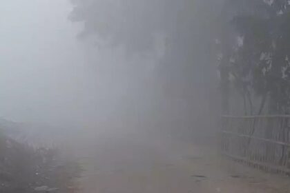 सावधान! कोहरे में दिखना हुआ मुश्किल, पटना-आरा में 7 गाड़ियों की भिड़ंत...