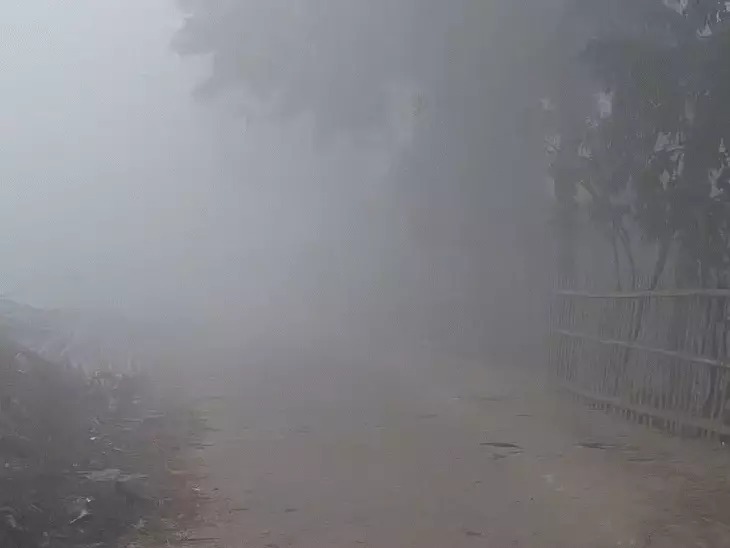 सावधान! कोहरे में दिखना हुआ मुश्किल, पटना-आरा में 7 गाड़ियों की भिड़ंत...