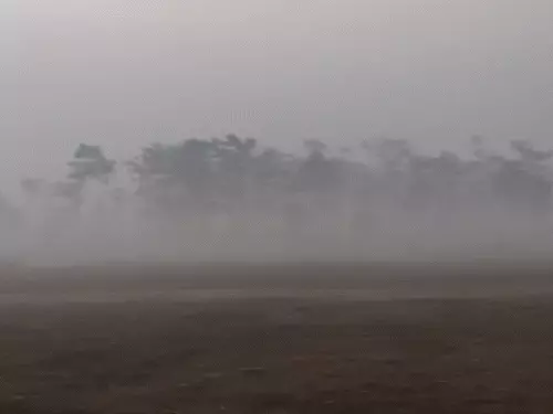 समस्तीपुर में 'शिमला' जैसा मौसम, बिहार में सर्दी चरम पर…