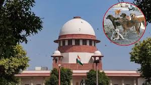 सुप्रीम कोर्ट की सख्त टिप्पणी: आवारा कुत्तों से सड़कें खाली रखनी होंगी, हादसों का बन रहे हैं कारण…