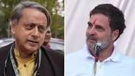 "हर किसी के बयान पर कमेंट नहीं कर सकता": कांग्रेस की अंदरूनी कलह पर थरूर का दो-टूक जवाब…