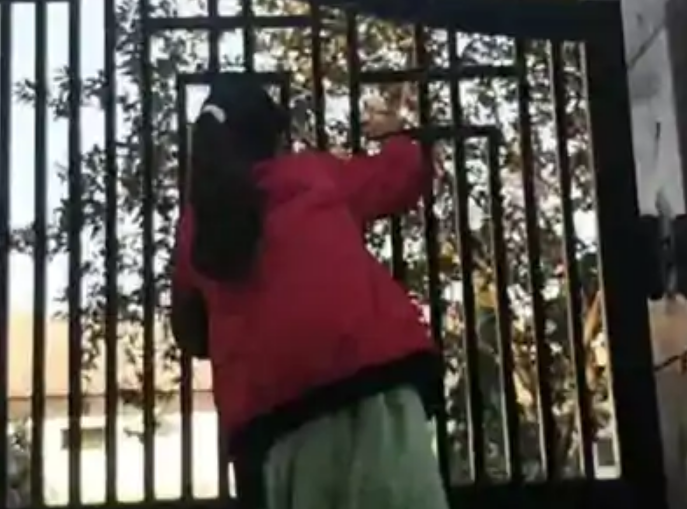 बिहार मैट्रिक परीक्षा 2026: आरा में पहले ही दिन भारी बवाल, लेट पहुंचीं छात्राओं ने दीवार फांदकर दी एंट्री; सिस्टम फेल!