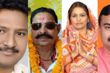 बिहार विधानसभा के 'रईस': अनंत सिंह से मनोरमा देवी तक, जानें किसके पास है कितने करोड़ का खजाना...