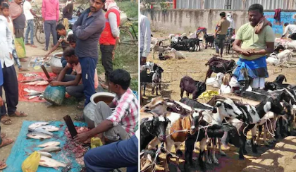 बिहार में 'खुले मीट' पर फुल स्टॉप: नियमों की अनदेखी पड़ेगी भारी, अब सीधे होगी कानूनी कार्रवाई!..