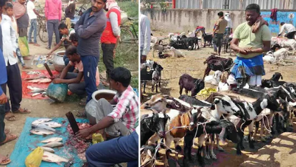 बिहार में 'खुले मीट' पर फुल स्टॉप: नियमों की अनदेखी पड़ेगी भारी, अब सीधे होगी कानूनी कार्रवाई!..